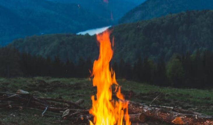 Biohazard Discussion: Classification and Disposal Guidelines