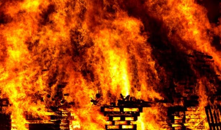 A Closer Look on Hardwood Flooring