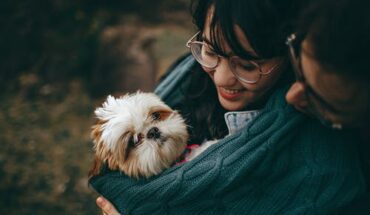 Having a Pet Boarded While You’re Away: What Makes It Convenient?