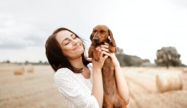 What Does a Pet Wellness Plan Cover?
